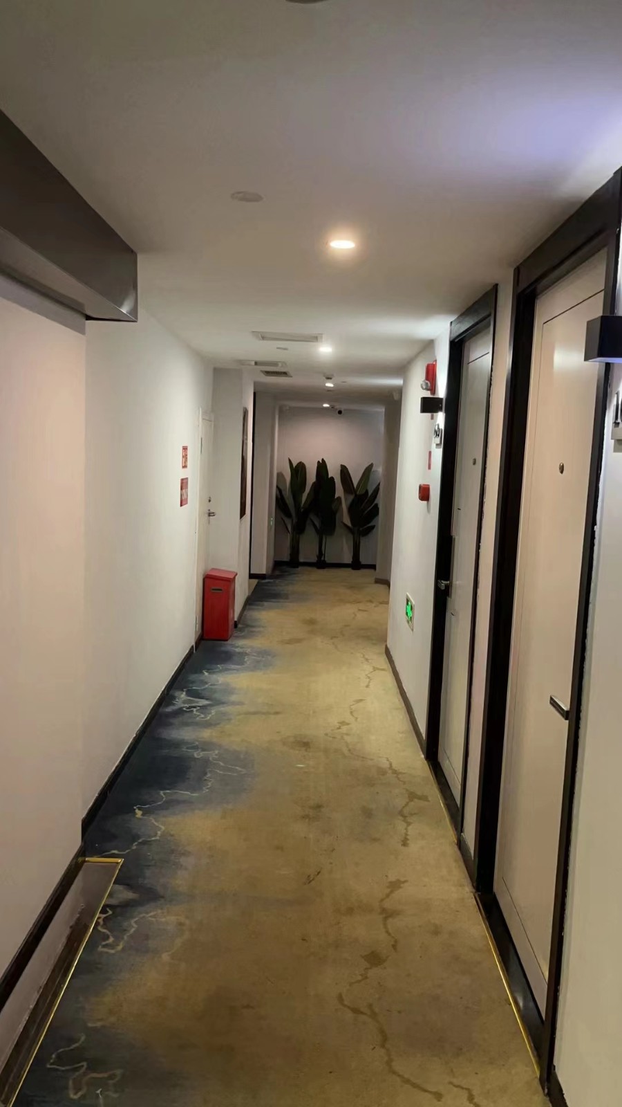 1655706157469519.jpg